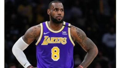lakers (3) - Image generated by AI for representational purposes.