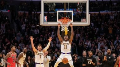 lakers (5) - Image generated by AI for representational purposes.