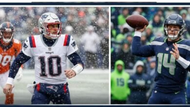 patriots vs. seahawks (2) - Image generated by AI for representational purposes.