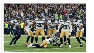 seahawks (1) - Image generated by AI for representational purposes.