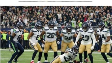 seahawks (2) - Image generated by AI for representational purposes.