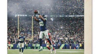 seahawks - Image generated by AI for representational purposes.