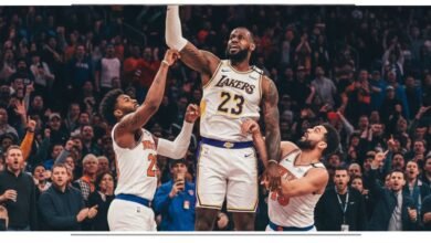 lakers (10) - Image generated by AI for representational purposes.