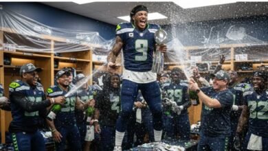 seahawks (3) - Image generated by AI for representational purposes.