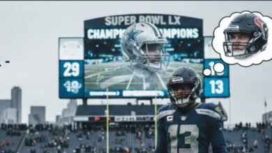 seahawks (6) - Image generated by AI for representational purposes.