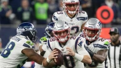 seattle seahawks (4) - Image generated by AI for representational purposes.