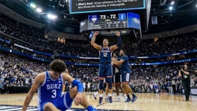 huskies punch - Image Credit: Social Media/Agency